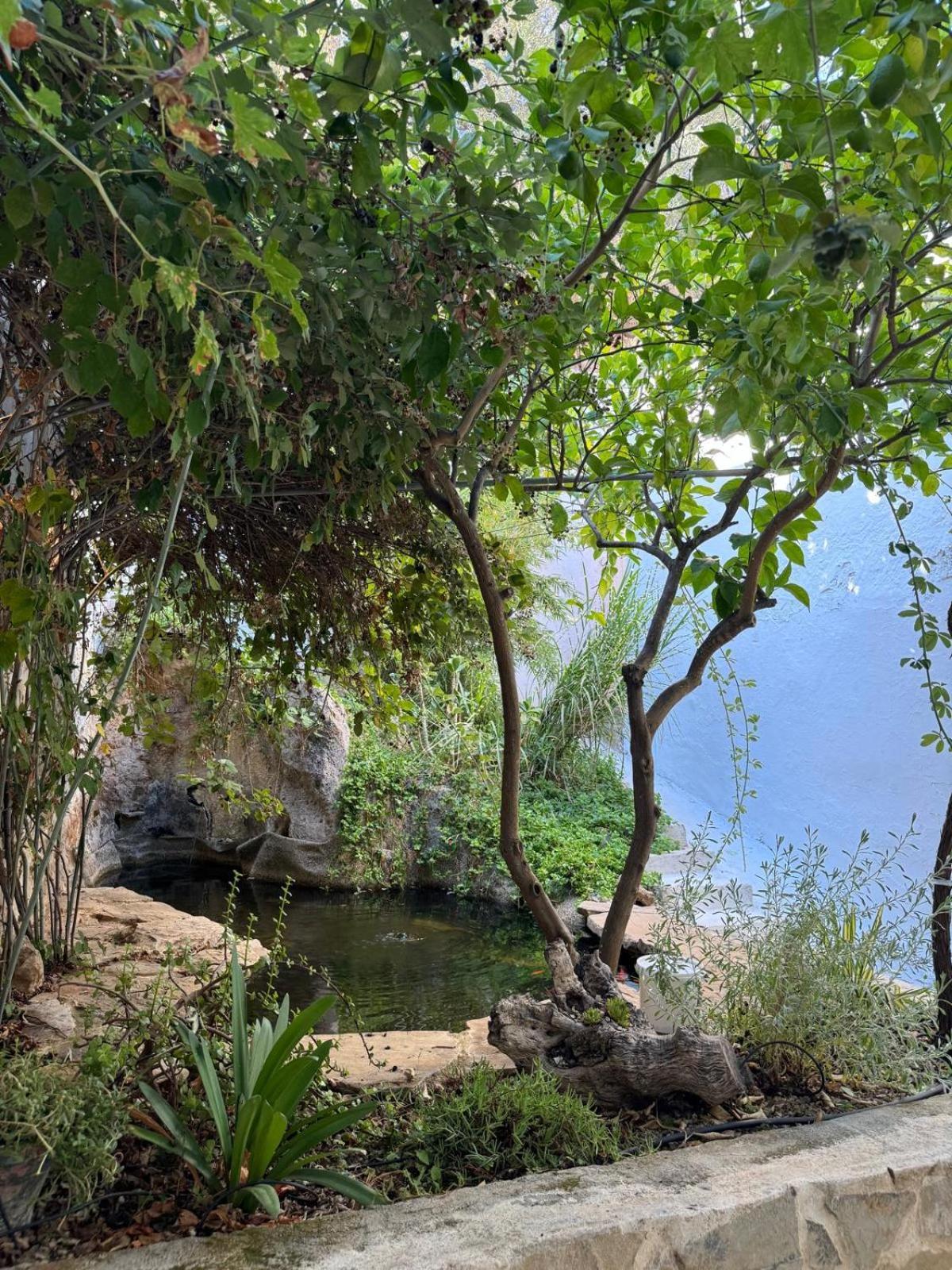 Despertar Villa Antequera Bagian luar foto