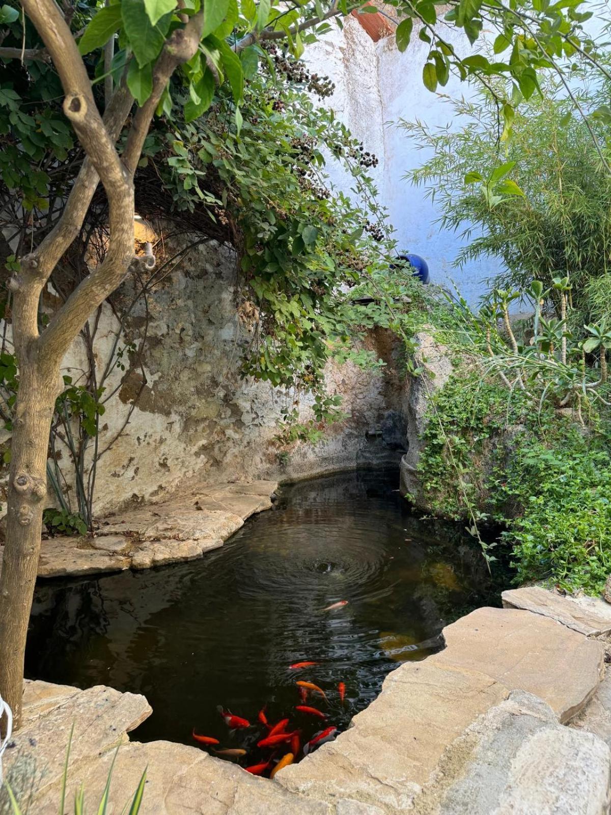 Despertar Villa Antequera Bagian luar foto