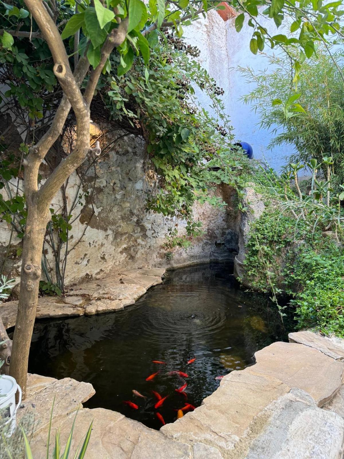 Despertar Villa Antequera Bagian luar foto